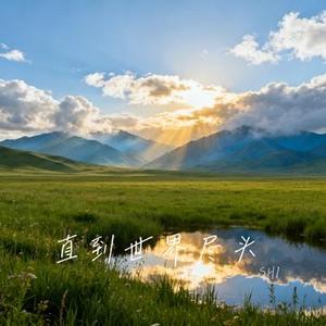 直到世界尽头 (Cover 大头针 Offieiel)