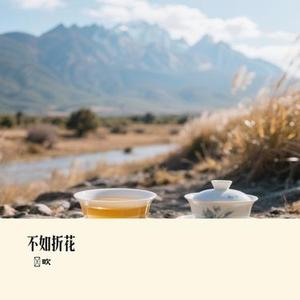 不如折花 (Cover 向思思)