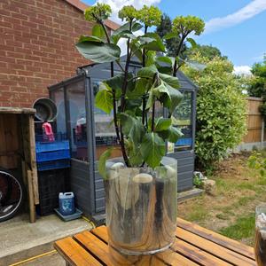 The world without you is no longer mine and yours