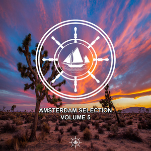 Need My Love (Radio Edit)