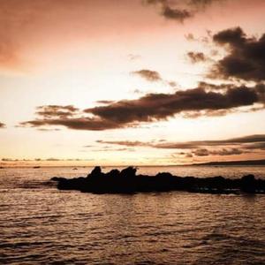 Mencintai Mu Bagai Sebuah Mimpi