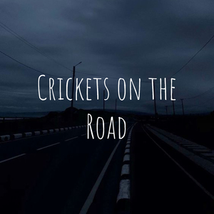 Crickets on the Road
