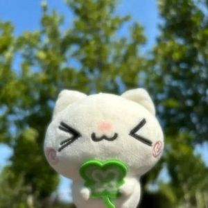 石怪怪