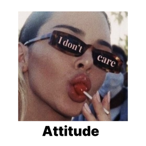 Attitude
