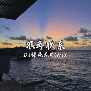 不再联系（DJ锦先森 Remix）