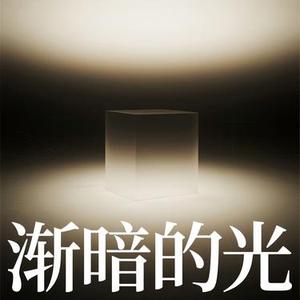Fading Light (渐暗的光) (Cover Pylot)