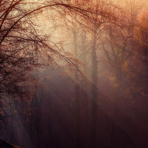 ASMR The Sound of Metal Chimes in a Temple for Peace of Mind