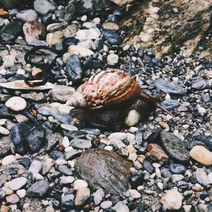 【FREE】The Last Summer Vacation