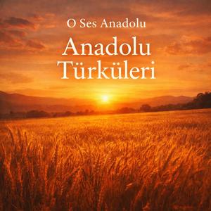 Şekercinin Kızı Takmış Gülleri