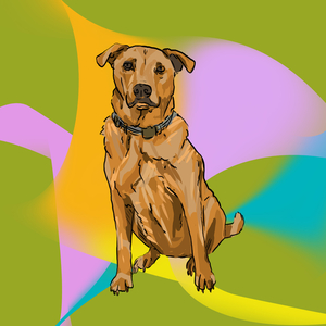 Catchin’ Feelings (For U)