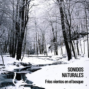 Viento de bosque lejano