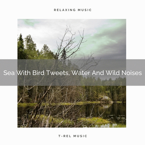 Nature Whispers With Rain And Wild Noises