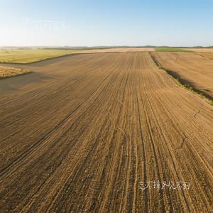 忘不掉又见不到