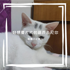 想要一个大大的葫芦去见你