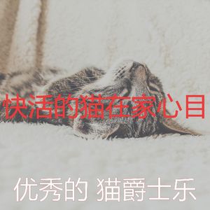 微妙的小猫心情