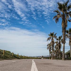 welcome the hive in the warm sun
