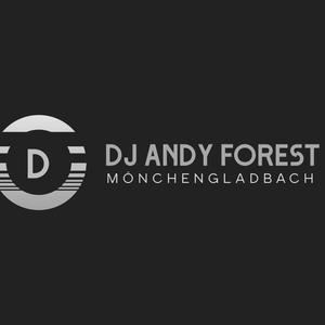 Can You See the Light