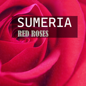 Red Roses