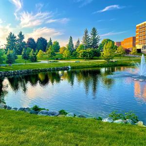 Star-struck, Sky-Stuck