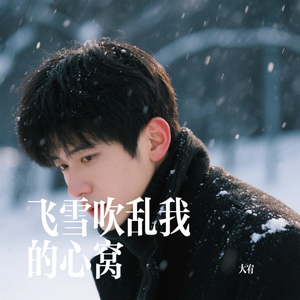 飞雪吹乱我的心窝