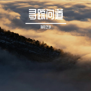 寻踪问道