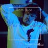 Sam Rice - Camouflage