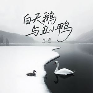 白天鹅与丑小鸭
