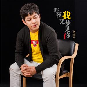 昨夜我又梦见你