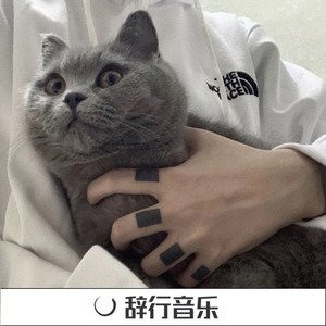 心野路子正(梦幻版)