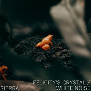 Felicity's Crystal