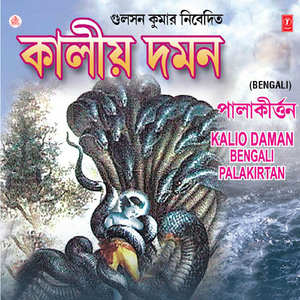 Kalio Daman