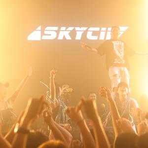 Skycii-Skycii Party Mix 2020 -（SKYCII MASHUPS 2K20）（Skycii remix）