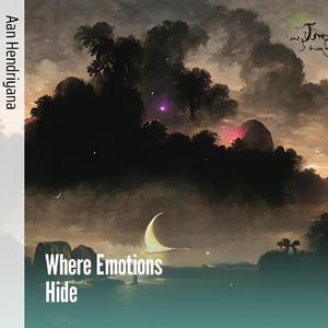 Where Emotions Hide