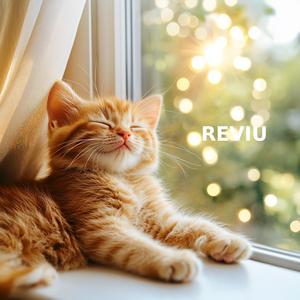 너는 참 귀여운 고양이야