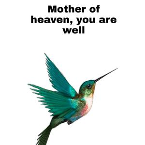 Paradise Bluebird (prodby e.pine)