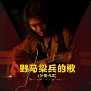 我在彩云之南 伴奏