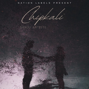 Chipkali