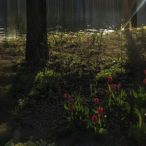 从窗台的花到宇宙爆炸