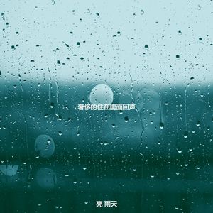 柔和的雨时刻