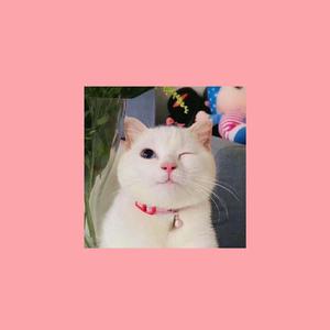 "Blush" | Mac Miller X R&B Type beat