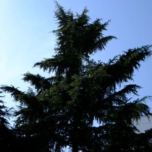 插头pluggnb经典伴奏｜“重温”插头pluggnb风格伴奏beat