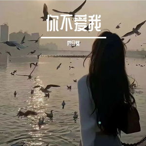 你不爱我