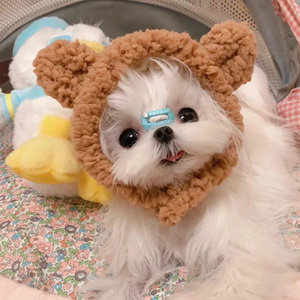 筷子兄弟-老男孩（知世故 remix）