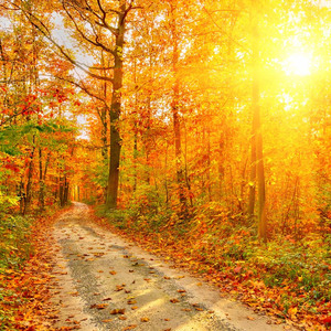 不懂爱的男孩 g伴奏