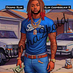 SYC Vibez (feat. Micdre)