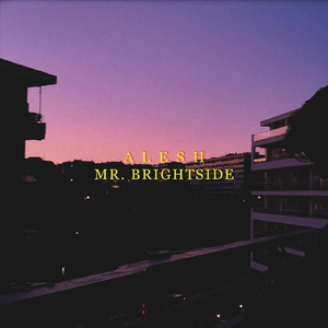 Mr. Brightside