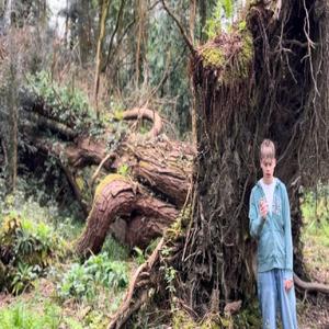 Reconnect With Nature