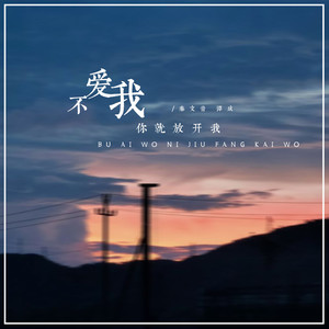 不爱我你就放开我 (DJ版)