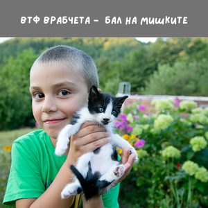 Бал на мишките