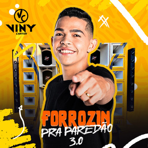 Vou Voltar Pro Maranhão